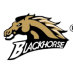 blackhorse-1